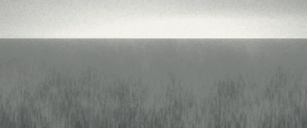 Rough ground and reeds dissolving into mist, with a pale band of water beyond.